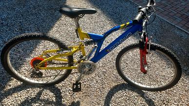 Bicicletta