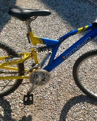 Bicicletta