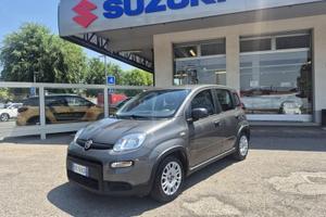 FIAT Panda 1.0 firefly hybrid s&s 70cv 5p.ti