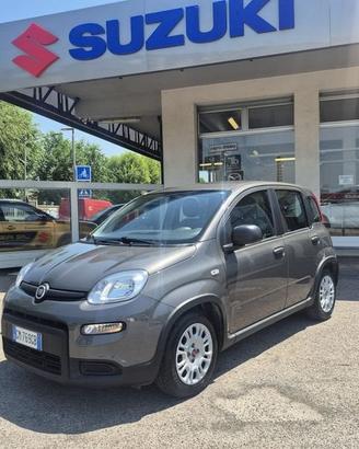FIAT Panda 1.0 firefly hybrid s&s 70cv 5p.ti