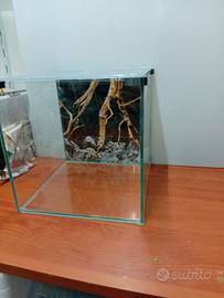 acquario più betta