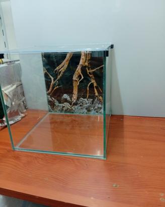 acquario più betta