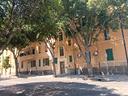 in-piccola-palazzina-appartamento-ribassato