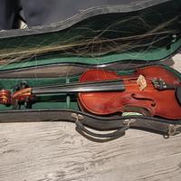 Violino