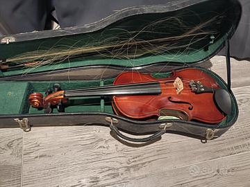 Violino