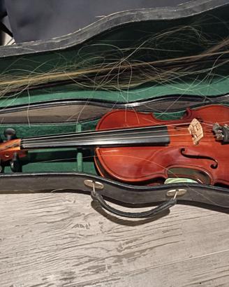 Violino