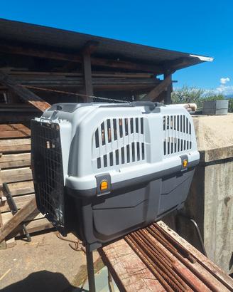 gabbia porta cani 