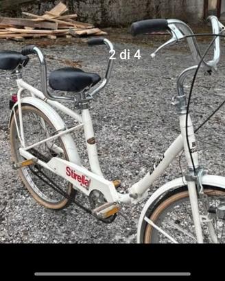 bibici