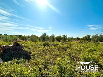 S. MARIA DI LICODIA - TERRENO AGRICOLO c. PSML042T