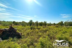 S. MARIA DI LICODIA - TERRENO AGRICOLO c. PSML042T