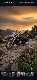 Honda vt750dc1