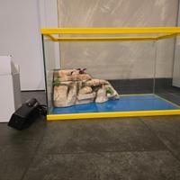 Acquario/tartarughiera