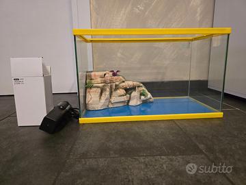 Acquario/tartarughiera