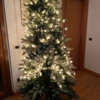 Albero di Natale