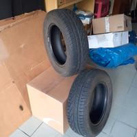 Gomme estive