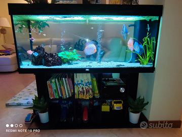 Acquario Juwel rio 240