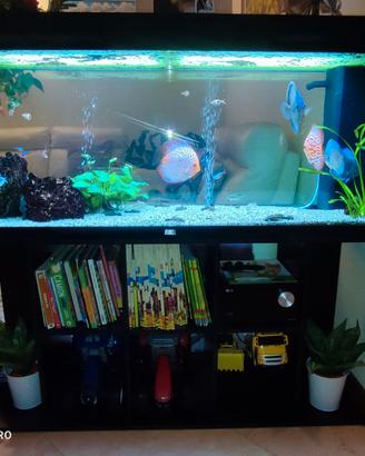 Acquario Juwel rio 240