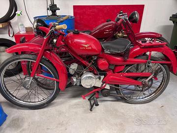 Guzzino cardellino 73