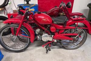 Guzzino cardellino 73