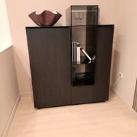 MADIA POLIFORM THECA