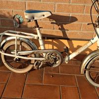 Graziella Carnielli Junior 12