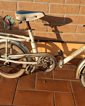 Graziella Carnielli Junior 12