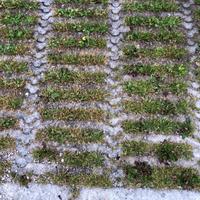 Mattonelle per pavimentazione esterna