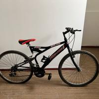 Mountain bike