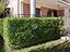 Immagine 9