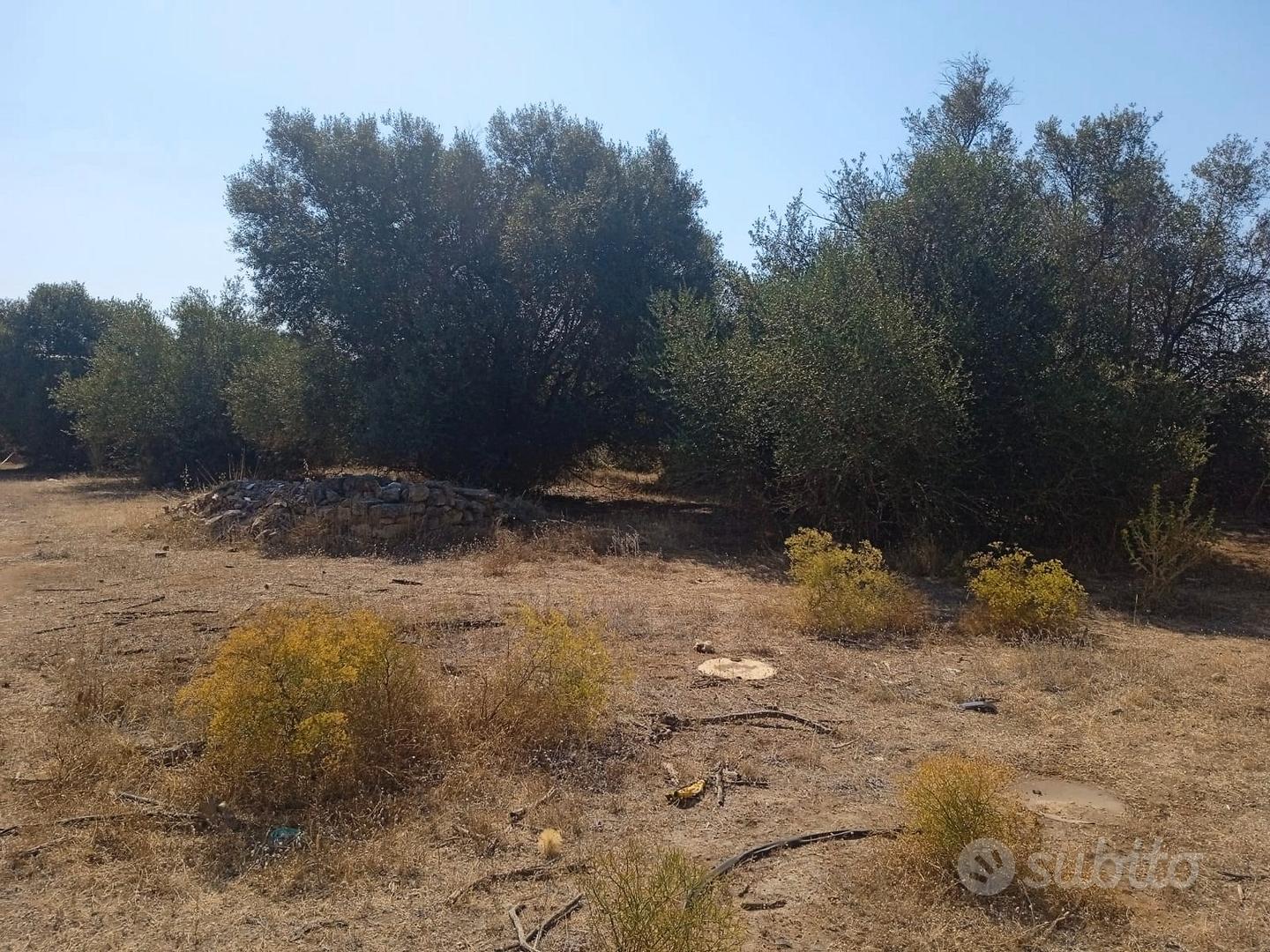 Terreno agricolo - Vista 3
