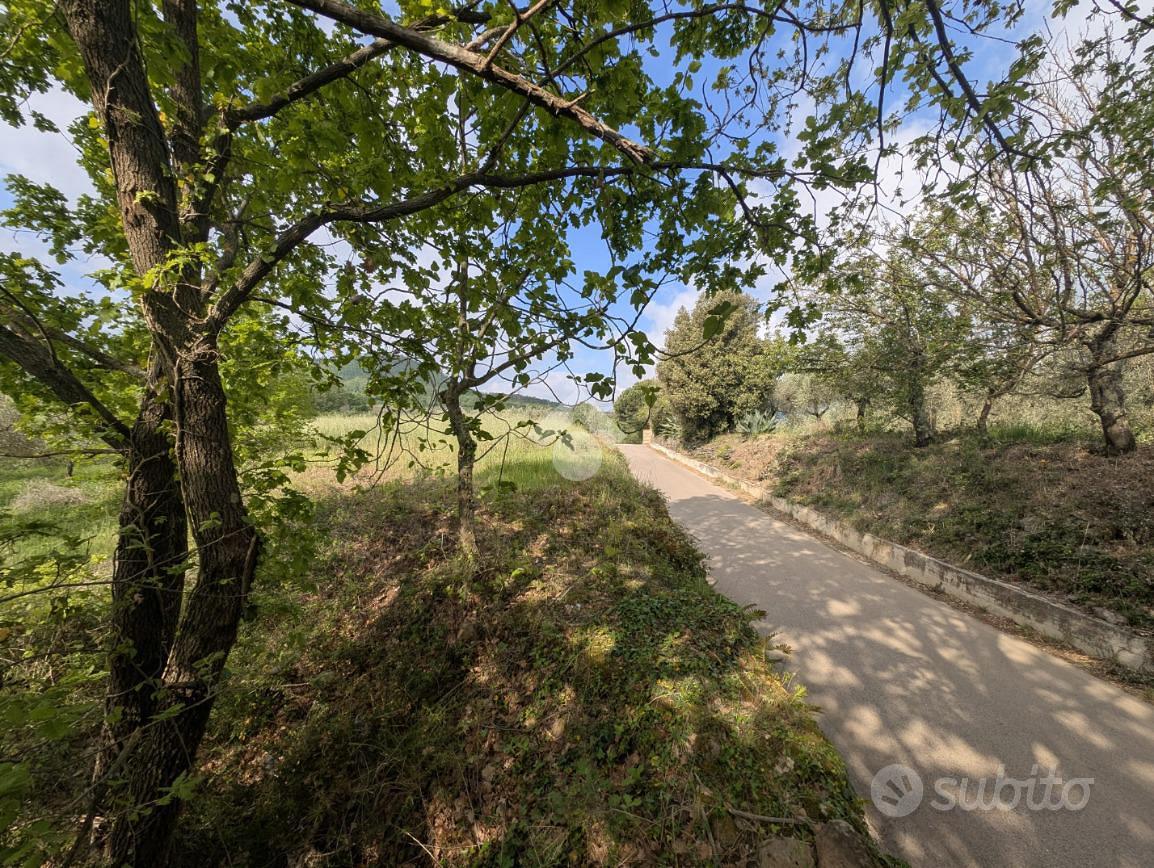 TER. AGRICOLO A CONCA DELLA CAMPANIA - Vista 2