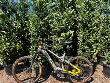 Haibike All MTB