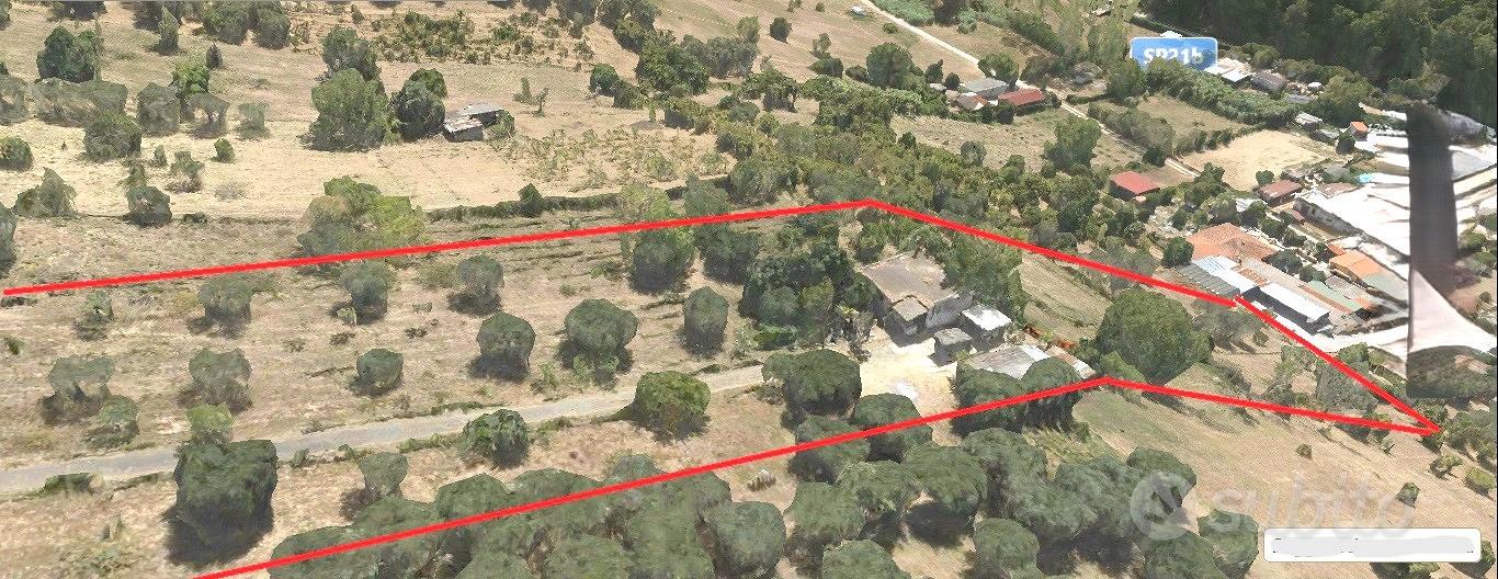Terreno 4000 mq con rudere Fonte nuova/Molette - Vista 4