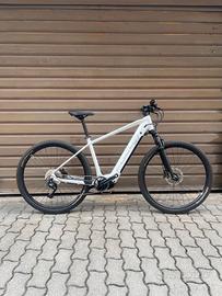 FOCUS JARIFA2 - TG.L - BOSCH PERFORMANCE LINE CX 6