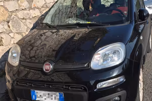 Panda 1.2 Connected