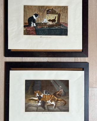 Litografie soggetto Gatti