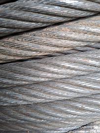 Fune portante forestale