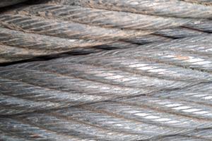 Fune portante forestale