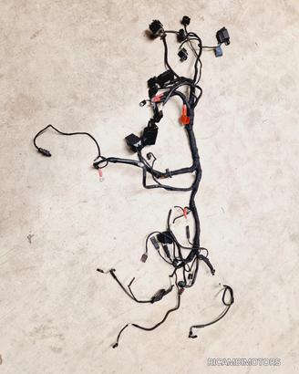 IMPIANTO ELETTRICO PRINCIPALE BMW RNINET