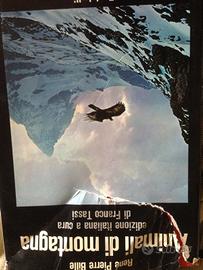 Animali di montagna P. Bille F. Tassi zanichelli