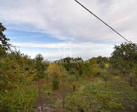 Terreno agricolo - Piedimonte Etneo