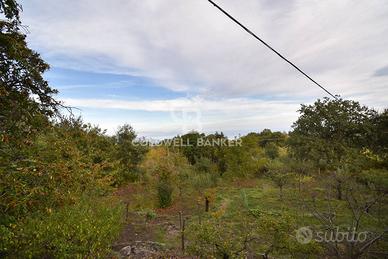 Terreno agricolo - Piedimonte Etneo