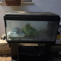 Acquario 120 litri