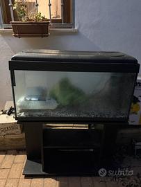 Acquario 120 litri