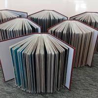 6 Album nuovi - 600 cartoline dal mondo