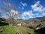 Immagine 14