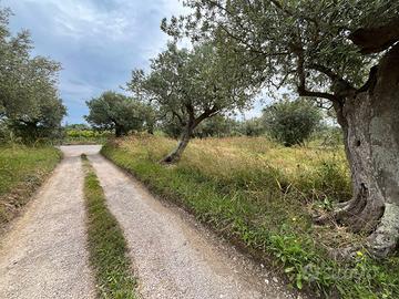 TERRENO AGRICOLO - 3940mq