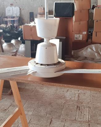2 Ventilatori a soffitto