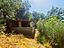 Immagine 17