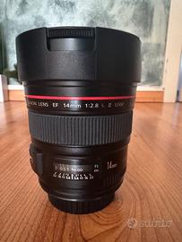 Canon EF 14mm 2.8